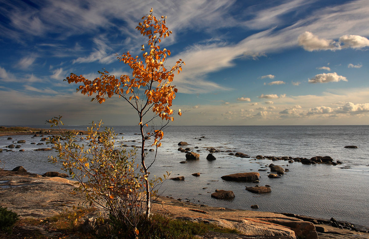 фото "***" метки: пейзаж, 