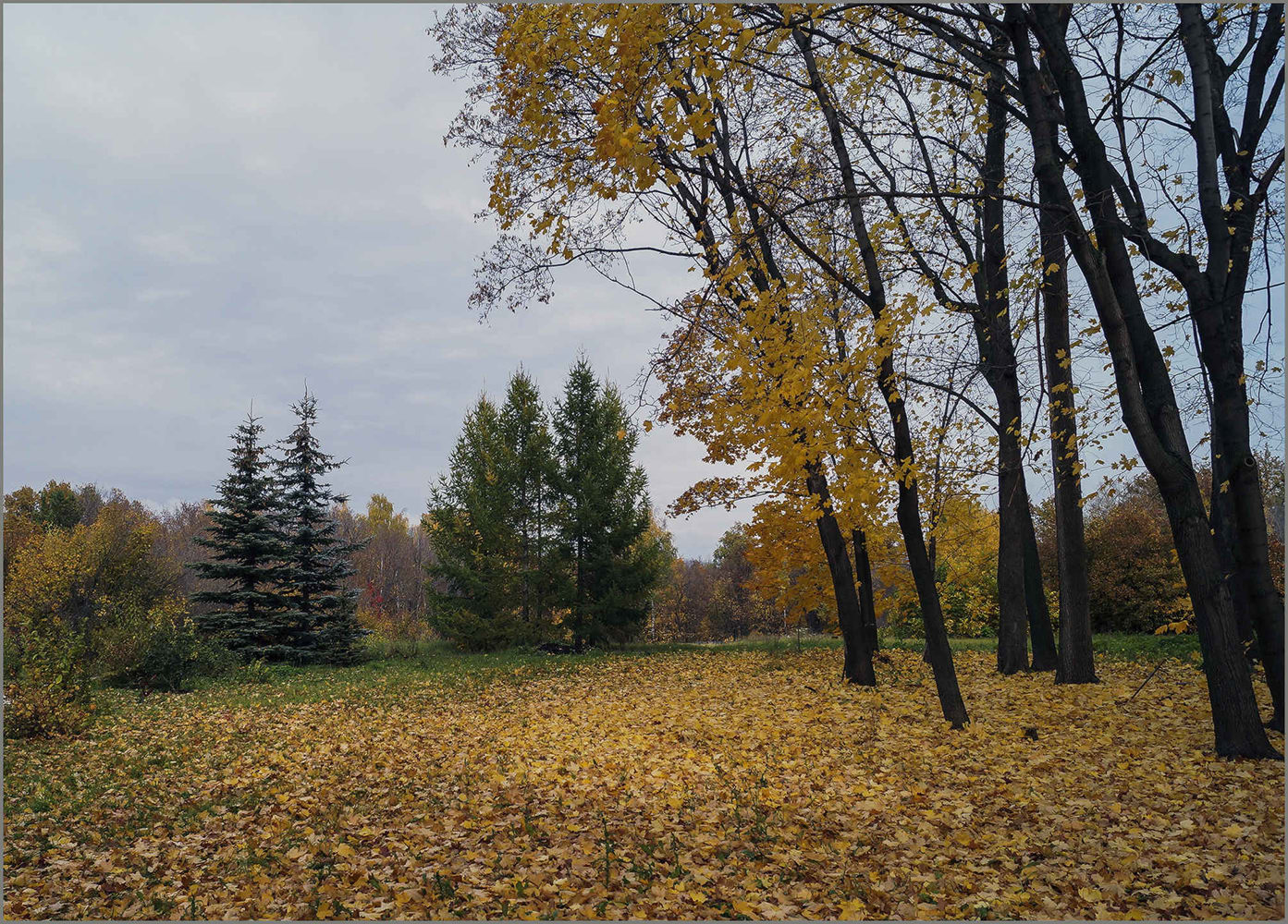 фото "Осень..." метки: , 