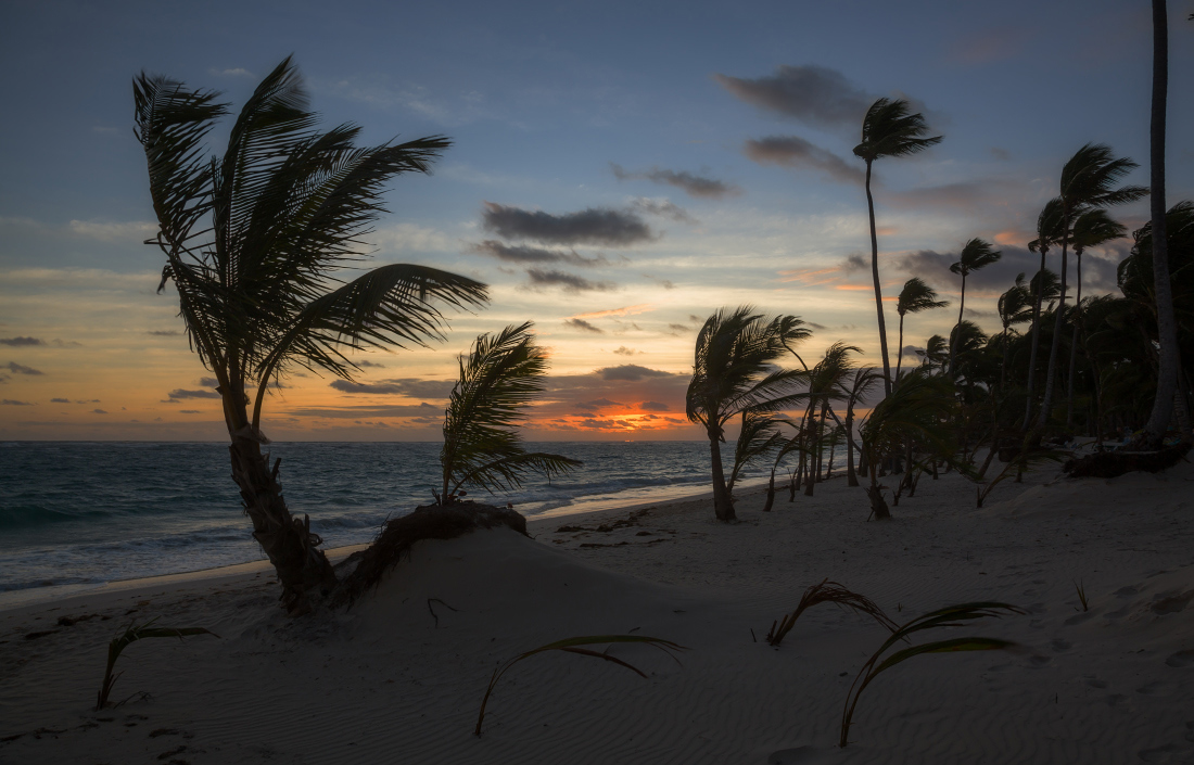 фото "Рассветный ветер" метки: пейзаж, Доминикана, берег, ветер, море, пальмы, песок, рассвет