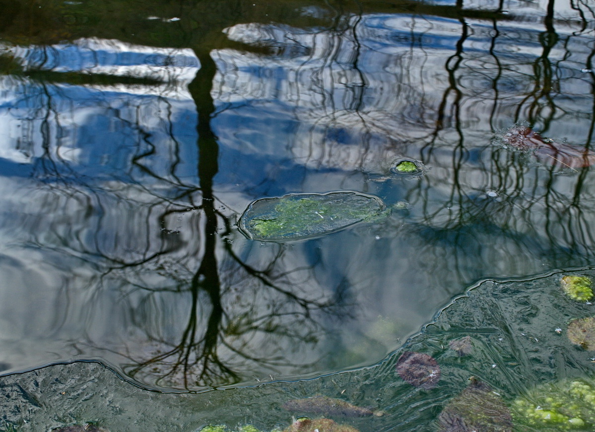 photo "On top boat Winters" tags: abstract, nature, каскадный водопад р.Алуойя