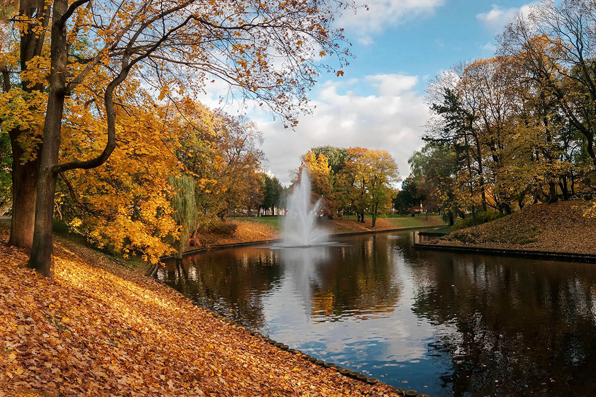 photo "***" tags: city, landscape, nature, autumn, clouds, reflections, sky, water, деревья