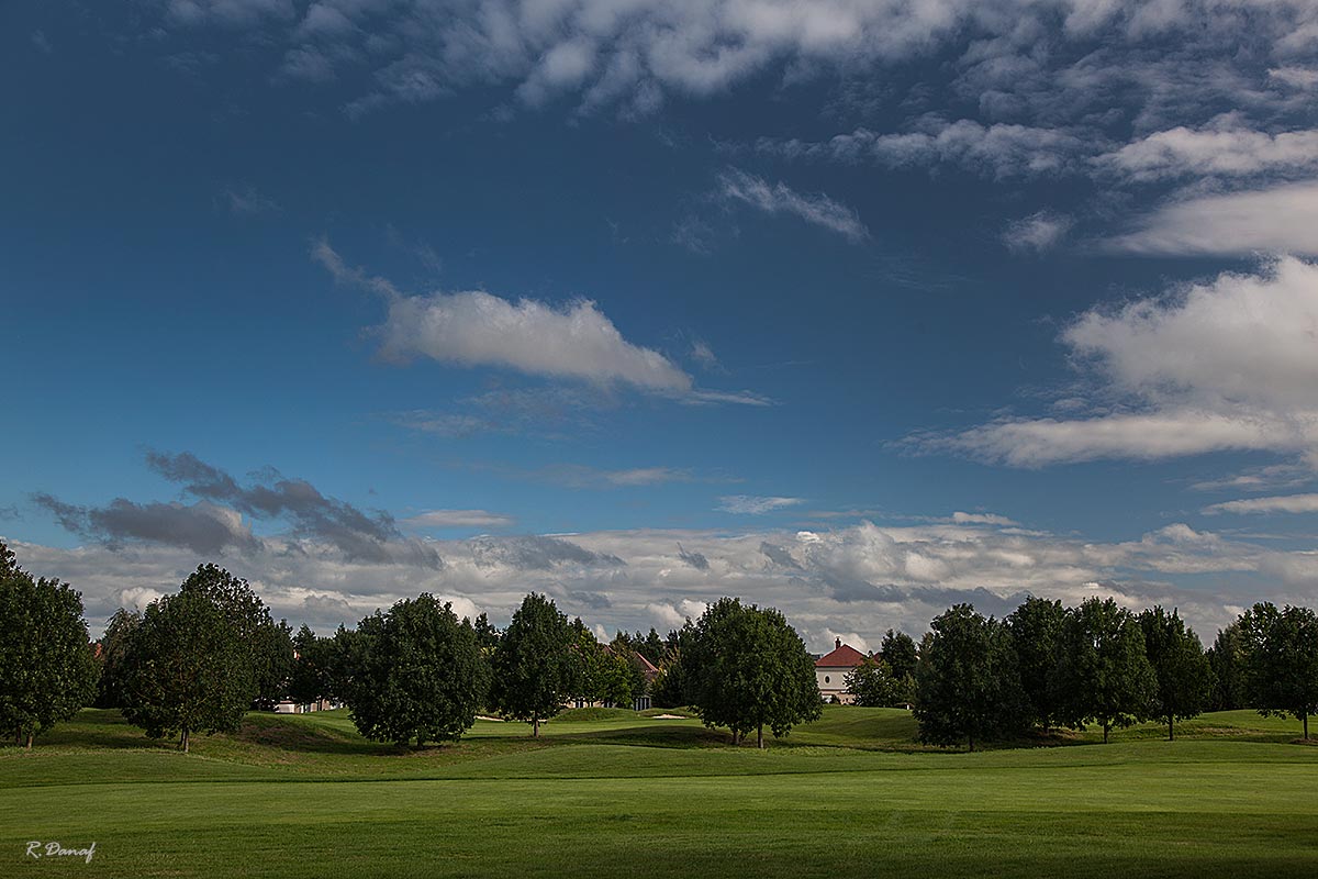 photo "The field" tags: landscape, 