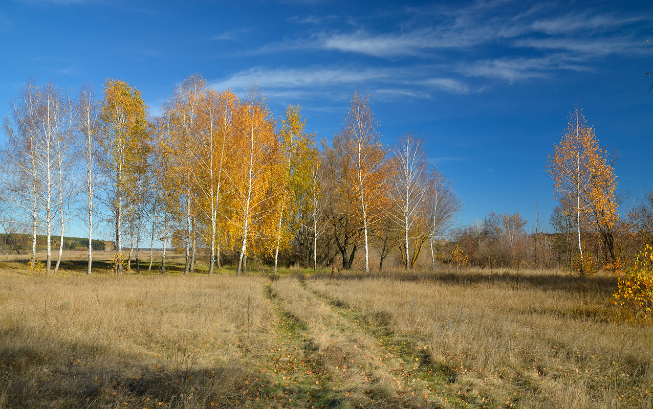 фото "Осенний этюд 3" метки: пейзаж, природа, 