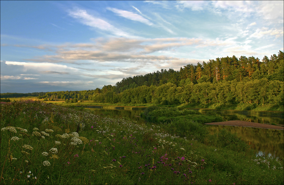 photo "Summer multicolority" tags: landscape, 