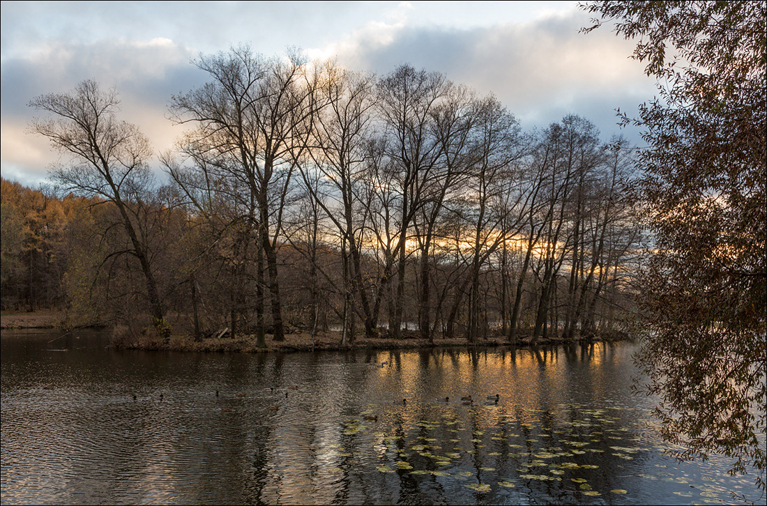 photo "The last ray of autumn sunset" tags: landscape, 