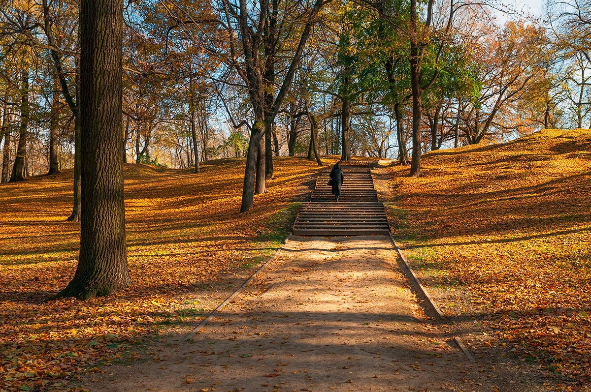 photo "***" tags: landscape, nature, reporting, autumn, sky, деревья, лестница