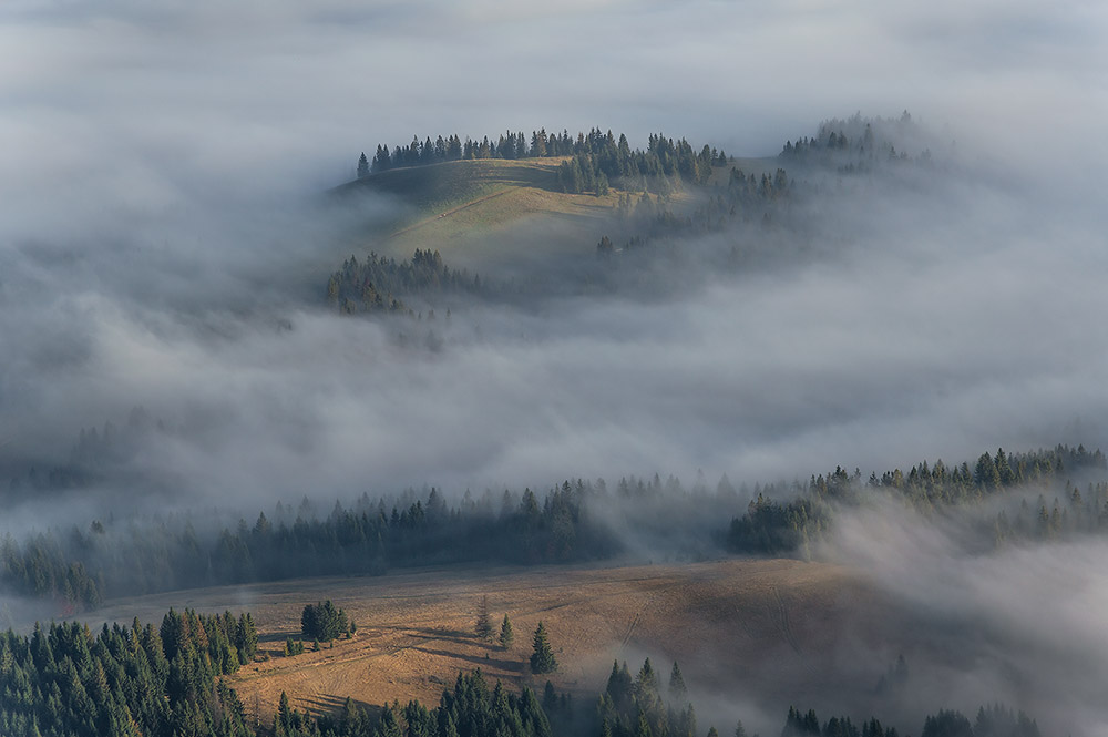 photo "***" tags: nature, landscape, autumn, clouds, fog, forest, mountains, Карпаты