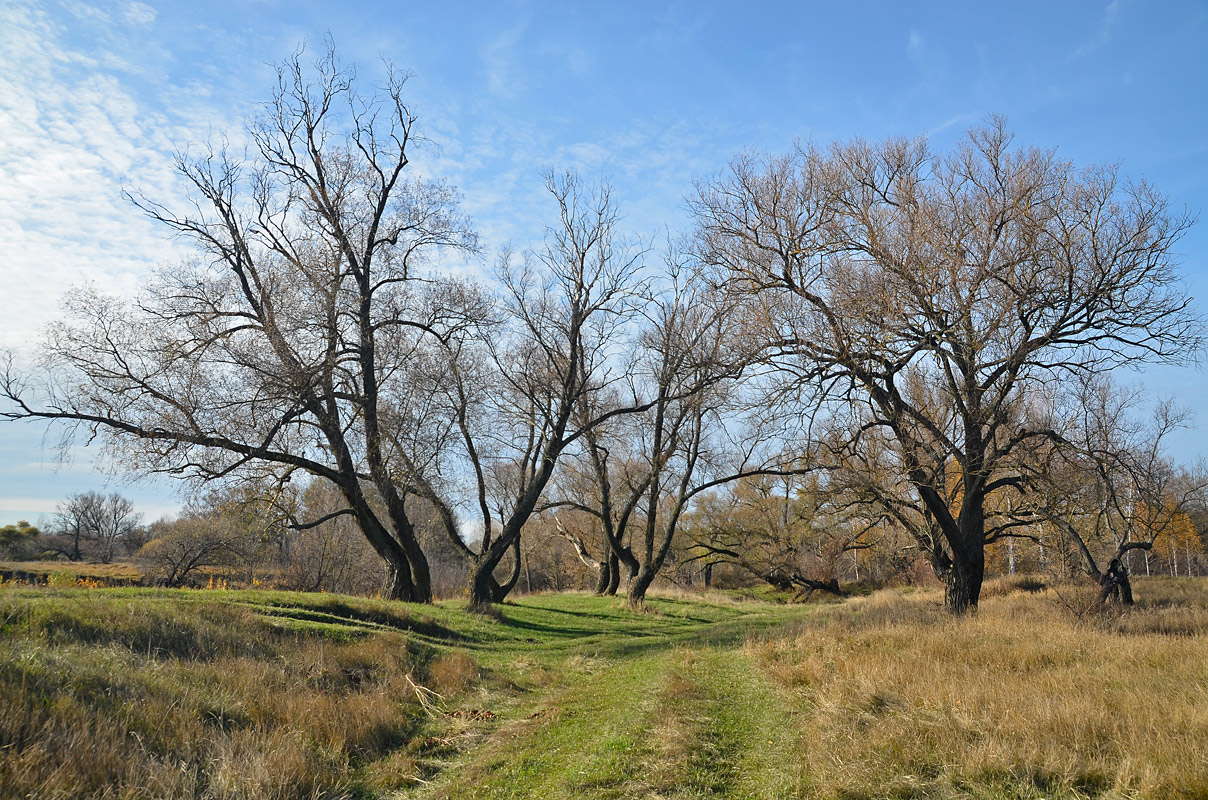 photo "***" tags: landscape, 