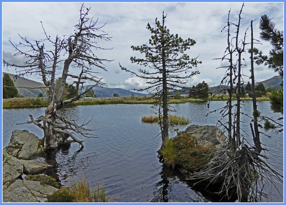 photo "At the lake" tags: travel, landscape, nature, 