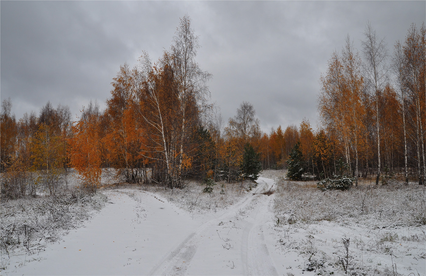 фото "Рыжеволосая зима" метки: пейзаж, природа, зима, лес, осень