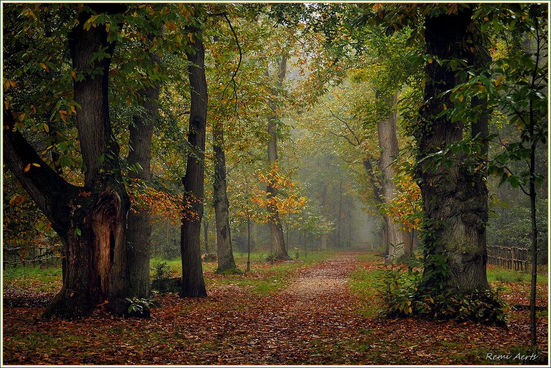 photo "***" tags: landscape, nature, street, 