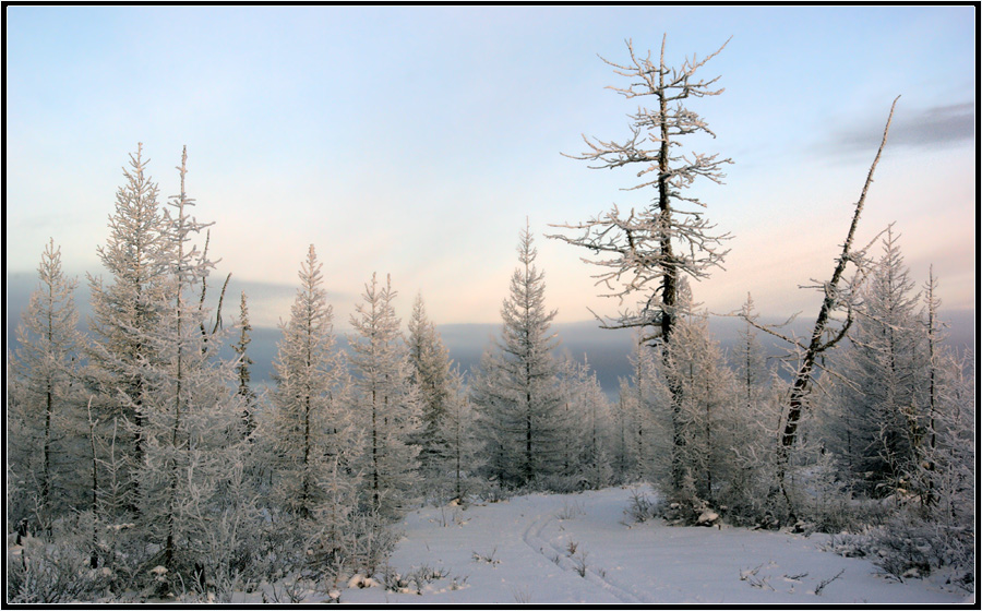 photo "***" tags: landscape, taiga, winter, мороз, приполярье