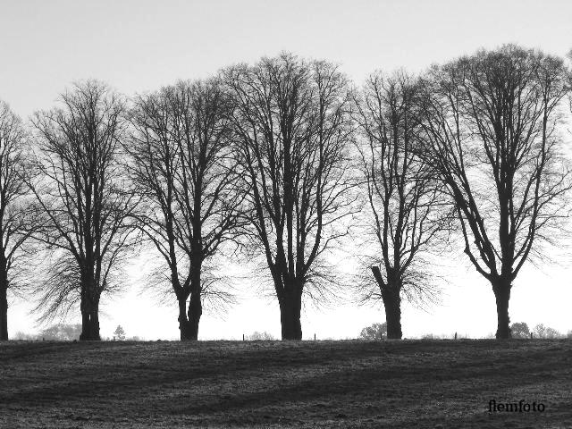 photo "Landscape" tags: nature, 