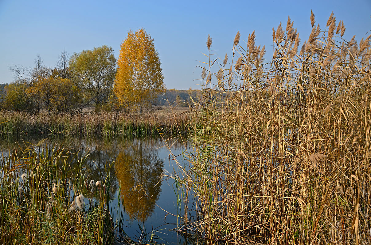 фото "***" метки: пейзаж, 