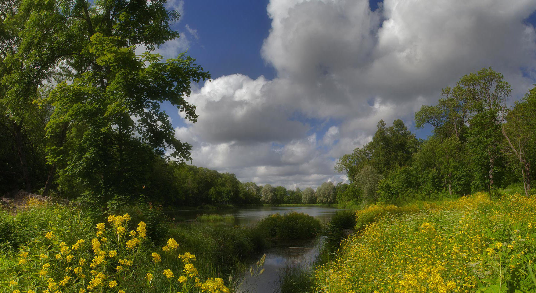 photo "***" tags: landscape, nature, 