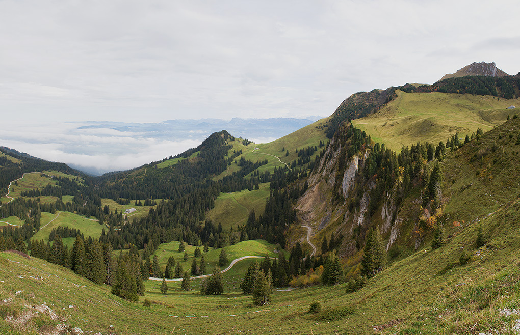 photo "***" tags: landscape, panoramic, nature, Europe, Gurnigel, autumn, mountains, деревья, панорамка