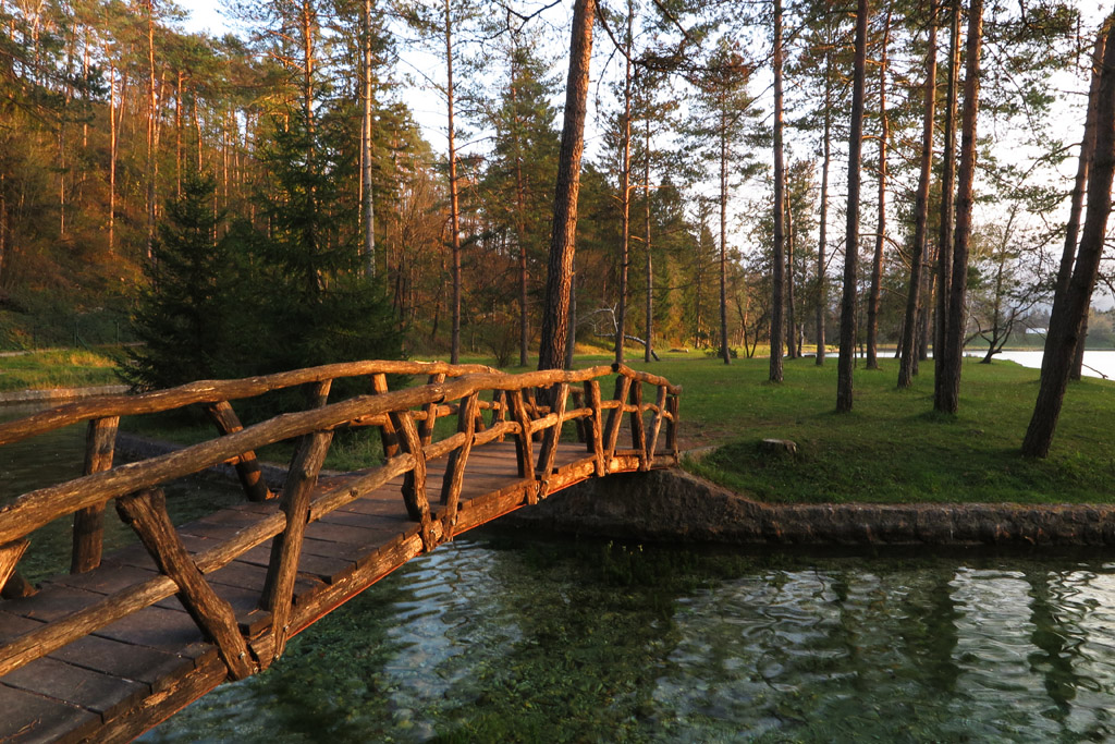 photo "The latest beam of sun" tags: landscape, sun forest autumn sunst