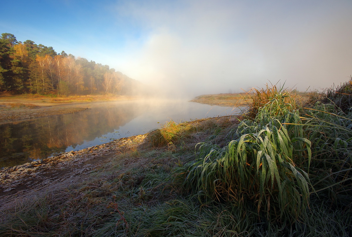 фото "одно осеннее утро" метки: пейзаж, заводь, осень, полесье, солнце, туман, утро