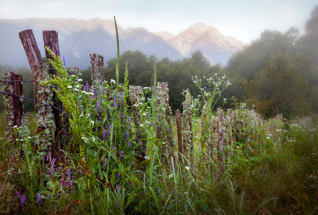 photo "Beautiful fence" tags: landscape, nature, travel, field, fog, meadow, mountains, summer, Кавказ, забор