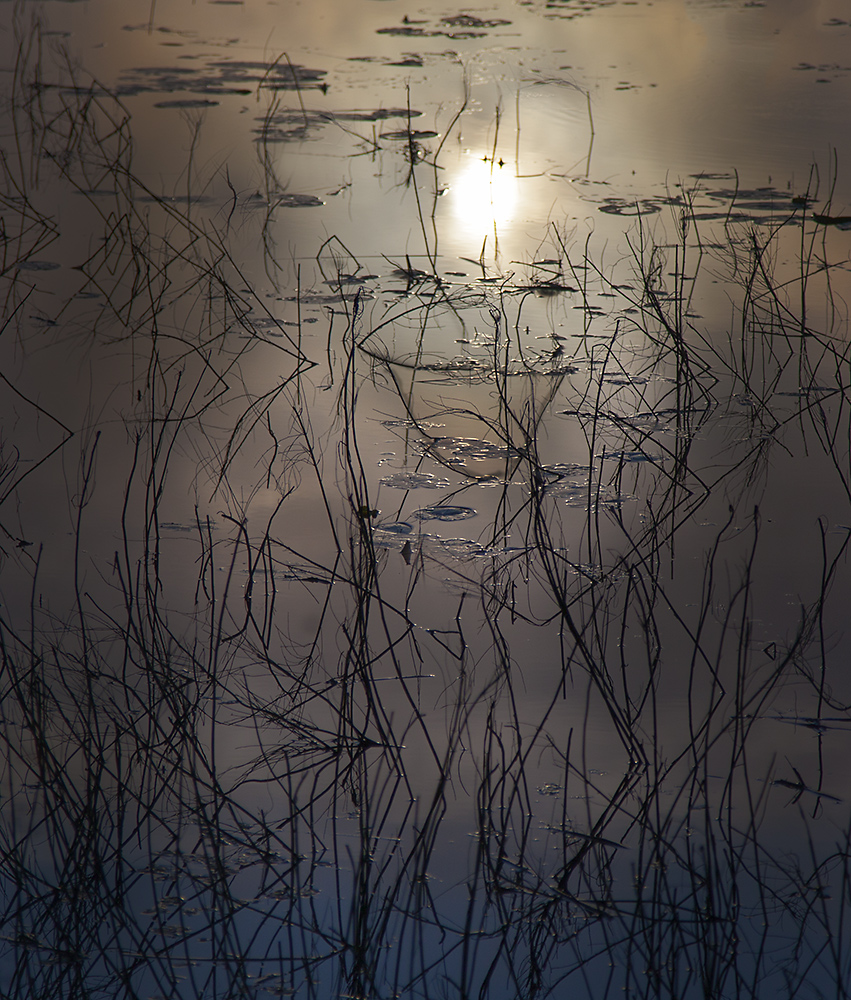 фото "Утренняя Улыбка озера..." метки: пейзаж, природа, абстракция, 