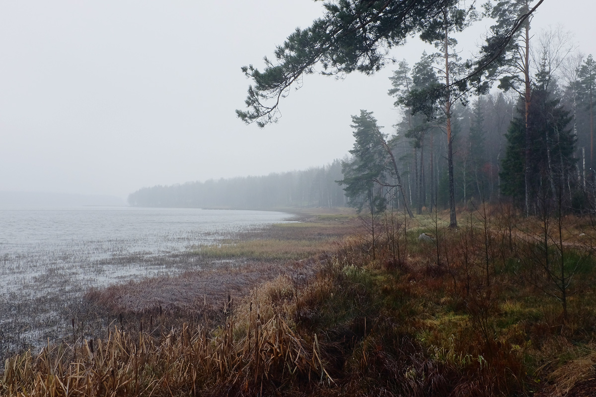 фото "***" метки: , 