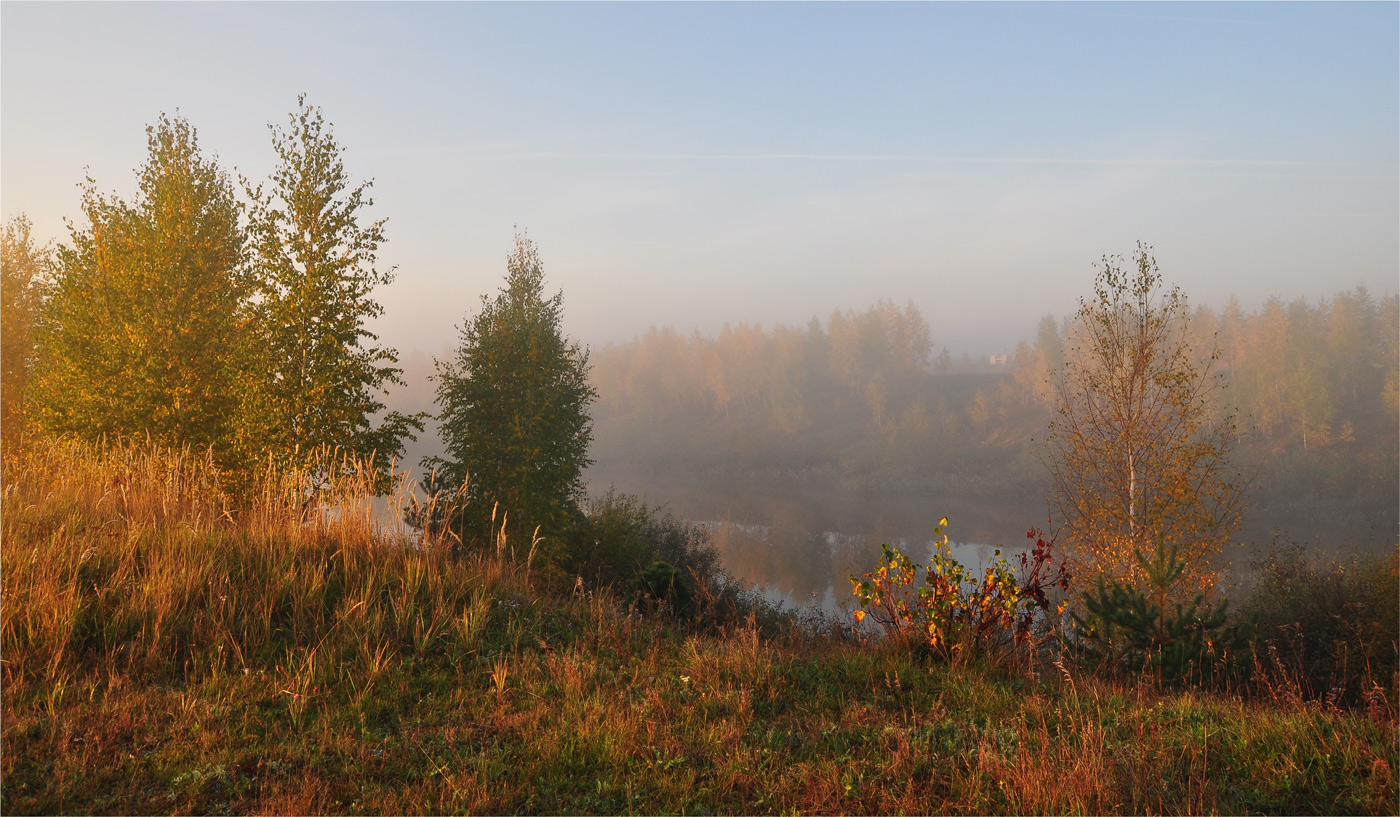 фото "Рассвет" метки: пейзаж, природа, деревья, осень, трава, туман