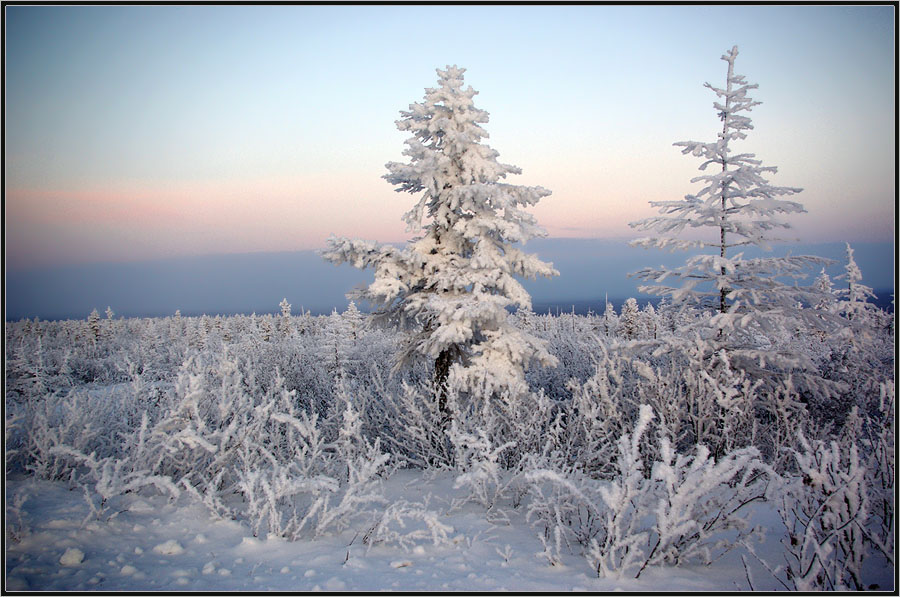 photo "***" tags: landscape, taiga, winter, Якутия, мороз