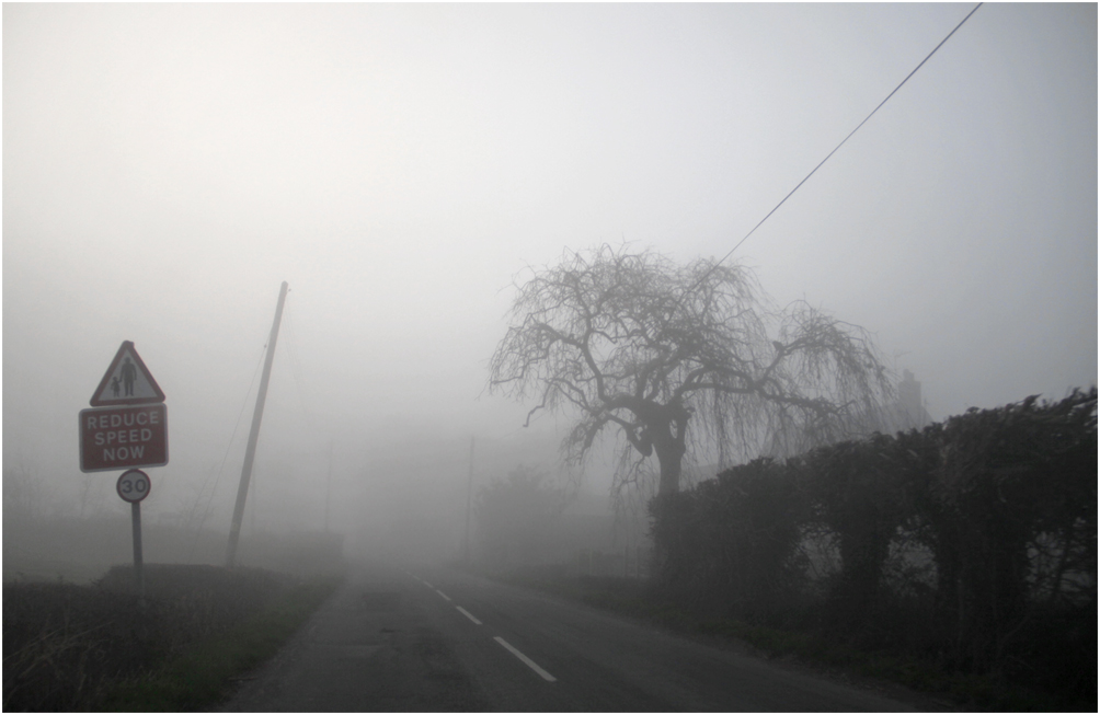 photo "***" tags: nature, fog, tree