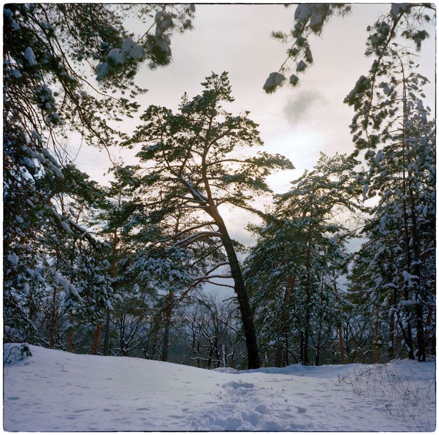 photo "***" tags: landscape, nature, 120, 6x6, Kodak Ektar 100, TLR, Yashica Mat Em