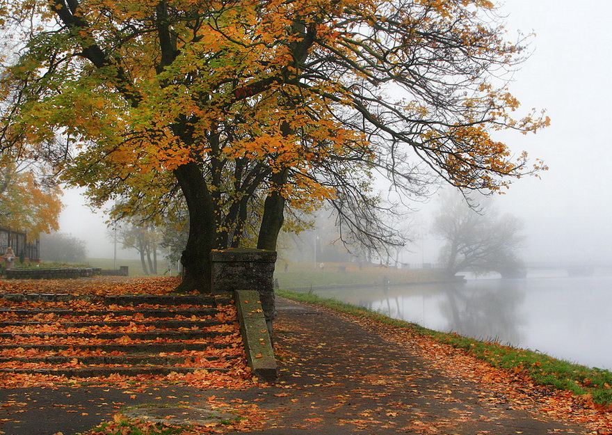 photo "***" tags: landscape, autumn, fog