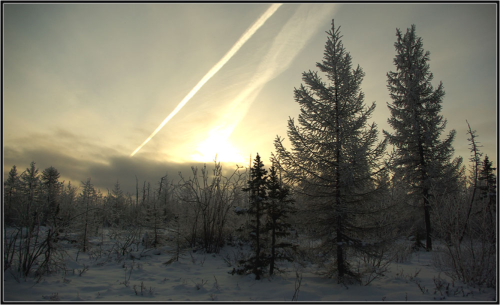 фото "Необычный рассвет" метки: пейзаж, зима, рассвет, тайга