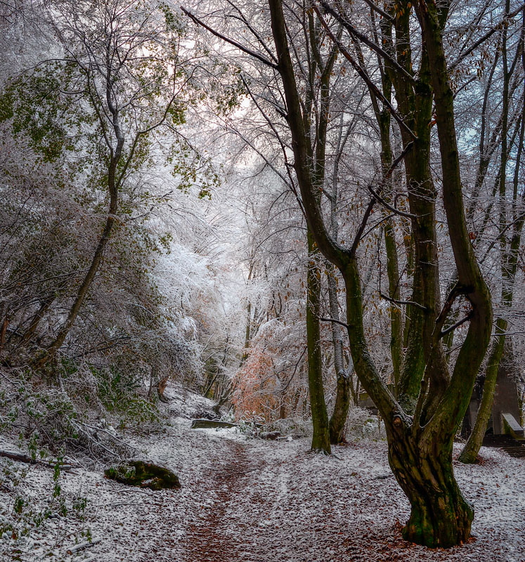 photo "***" tags: landscape, autumn, forest, Кавказ