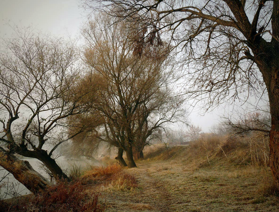 фото "***" метки: пейзаж, 