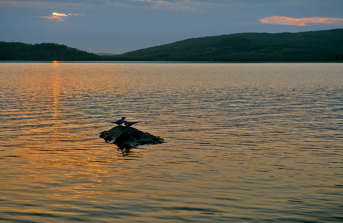 photo "***" tags: landscape, nature, Kola Peninsula, summer