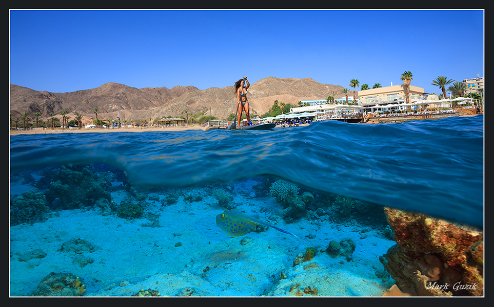 photo "The two measurements" tags: underwater, 