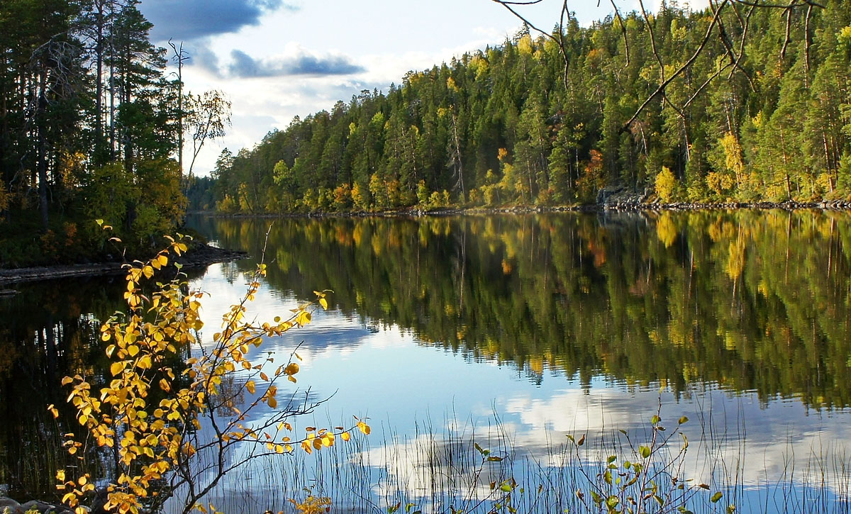 photo "***" tags: landscape, nature, Karelia, water