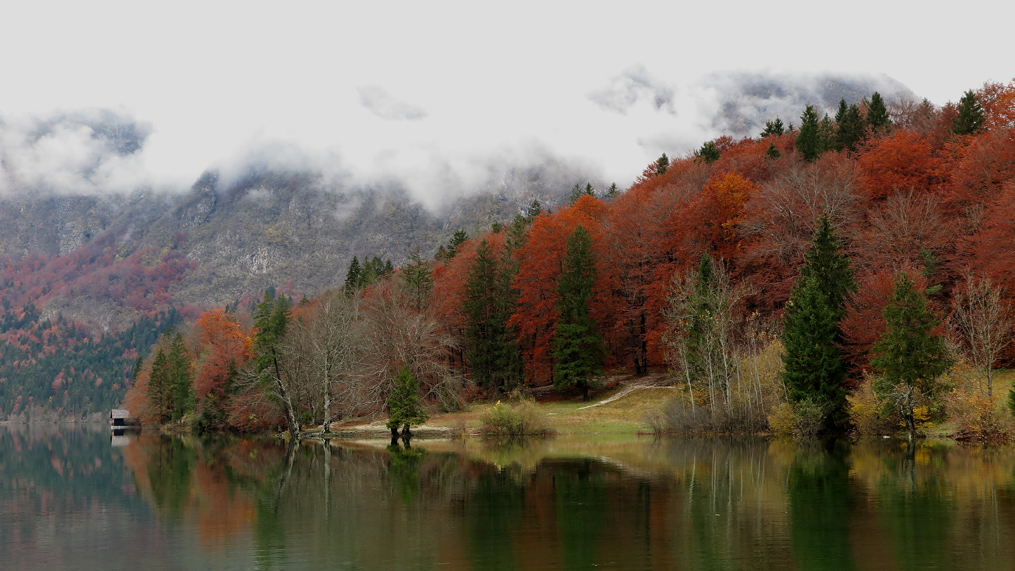 фото "Autumn" метки: пейзаж, 