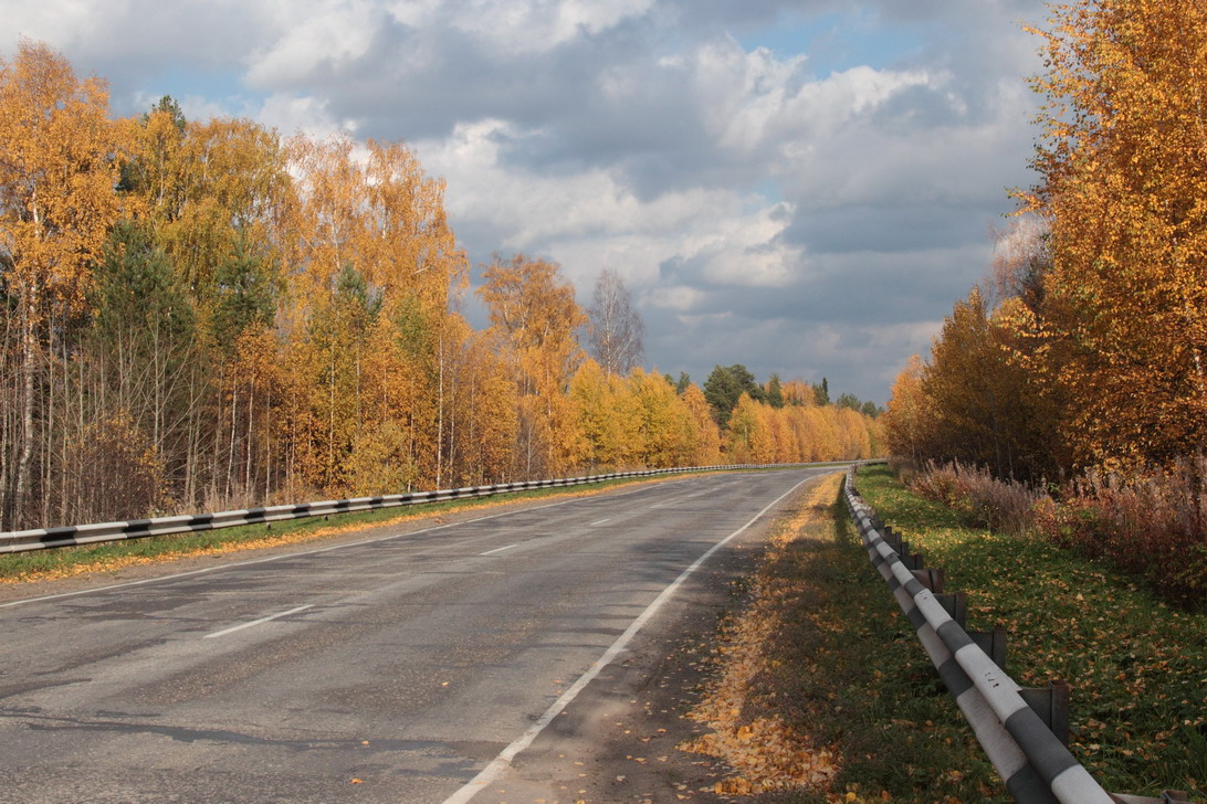 фото "Золото" метки: пейзаж, 