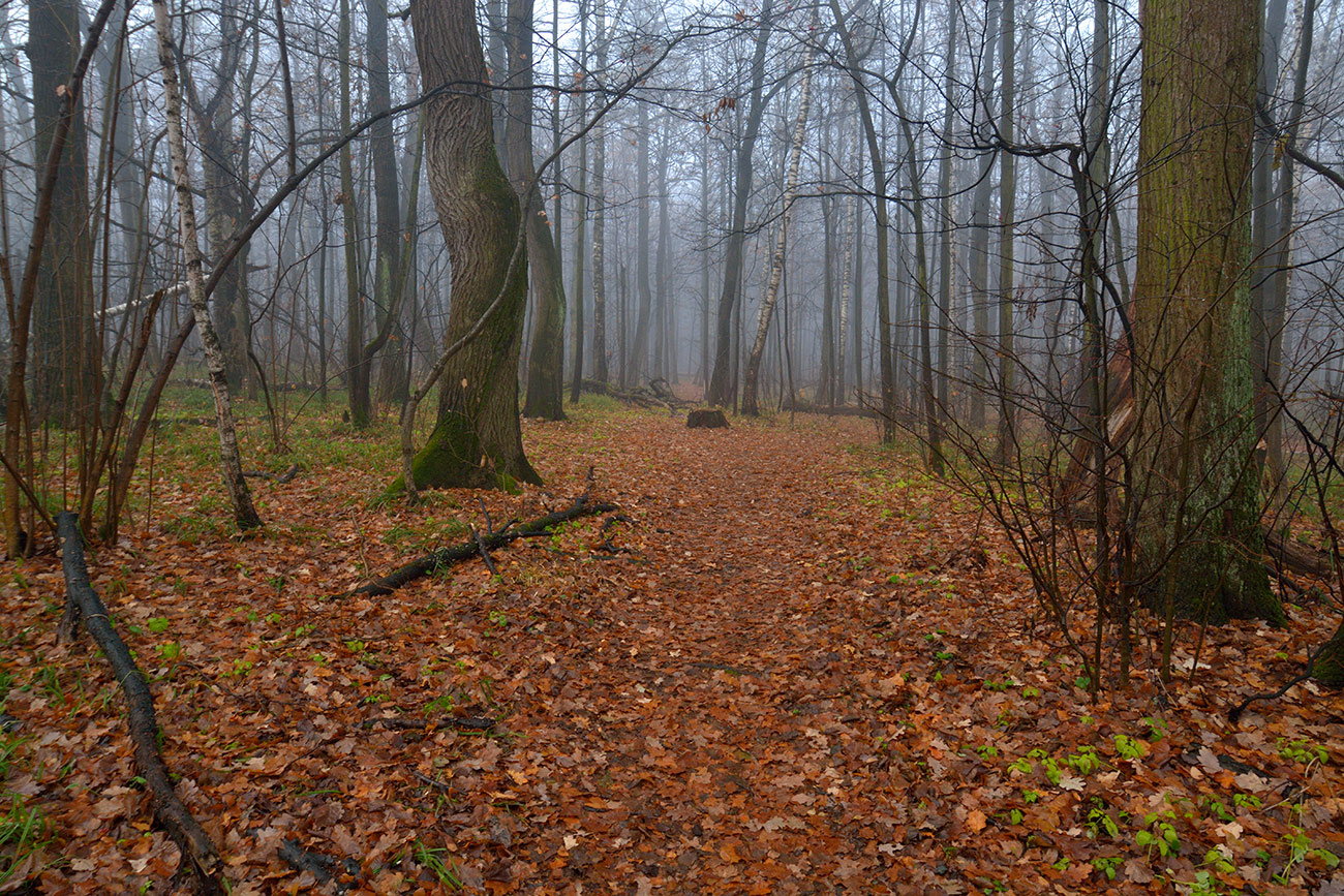 photo "***" tags: landscape, autumn