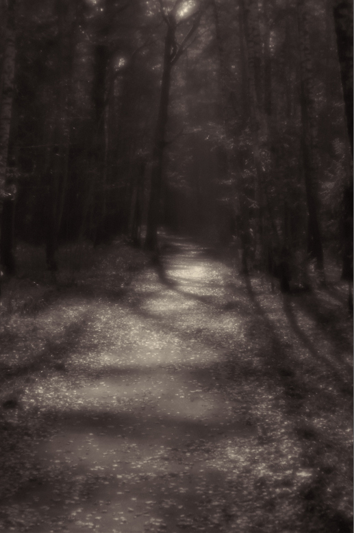 фото "***" метки: природа, 