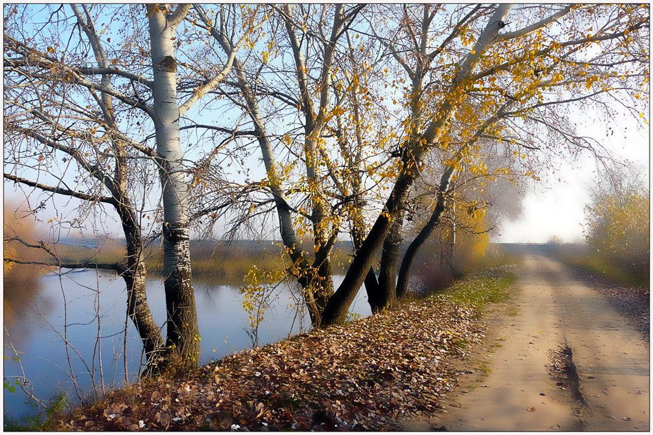 фото "Autumn path" метки: пейзаж, autumne, road, romania, trees, озеро