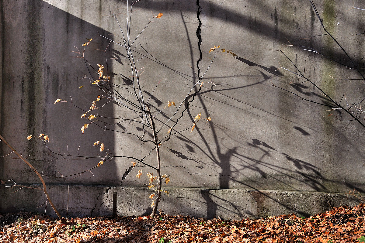 photo "***" tags: misc., 