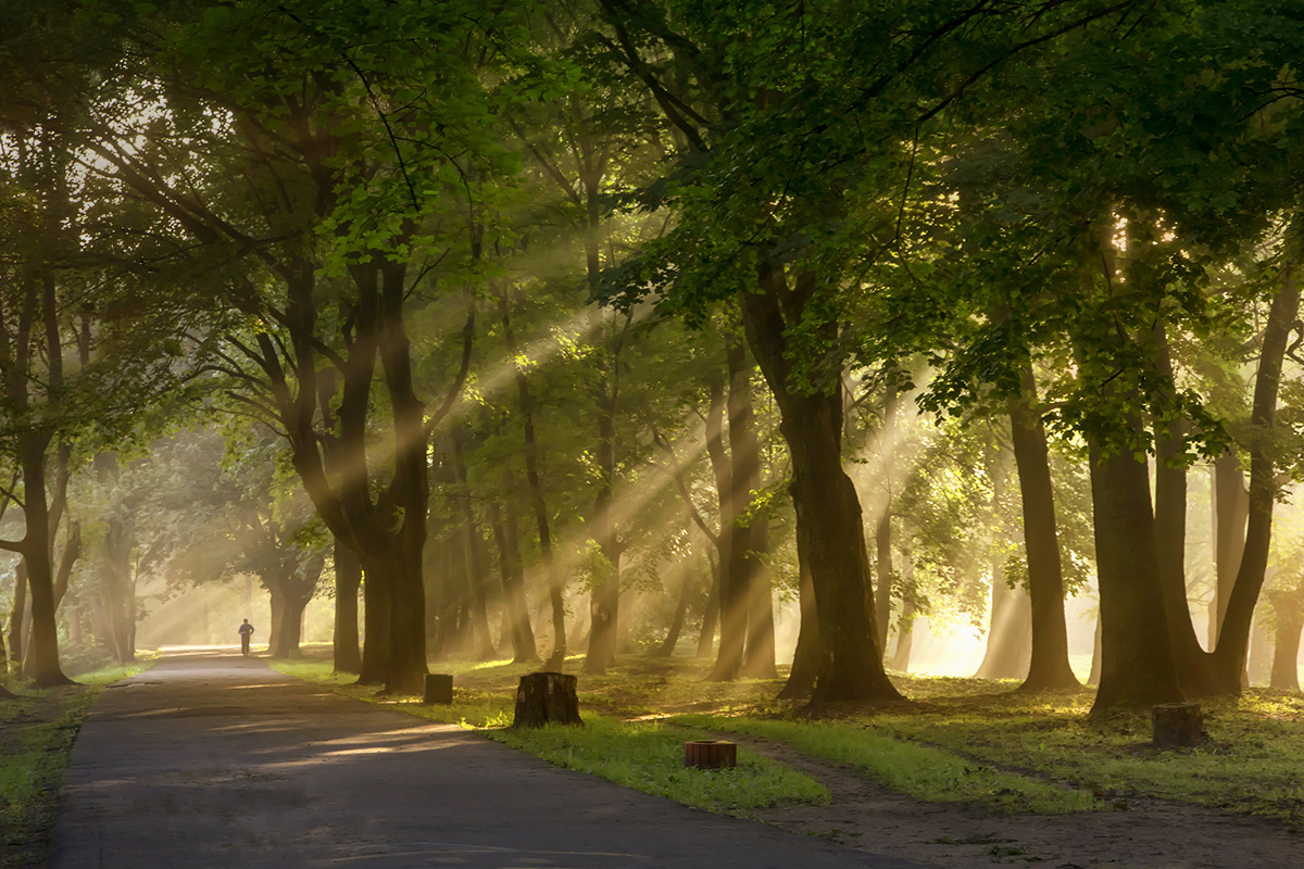 photo "***" tags: landscape, fog, morning