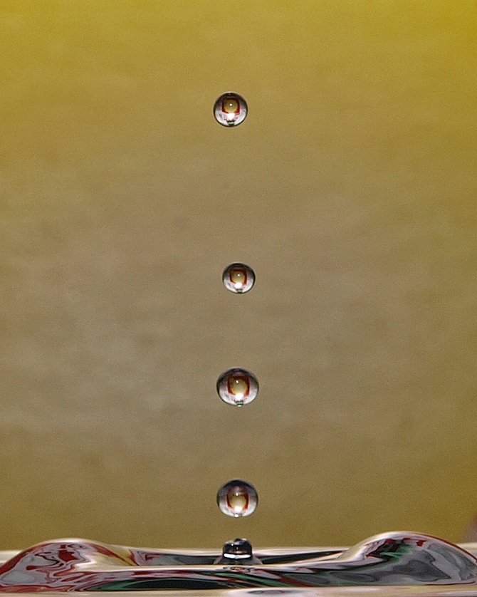 photo "Four drops" tags: macro and close-up, fragment, reporting, 
