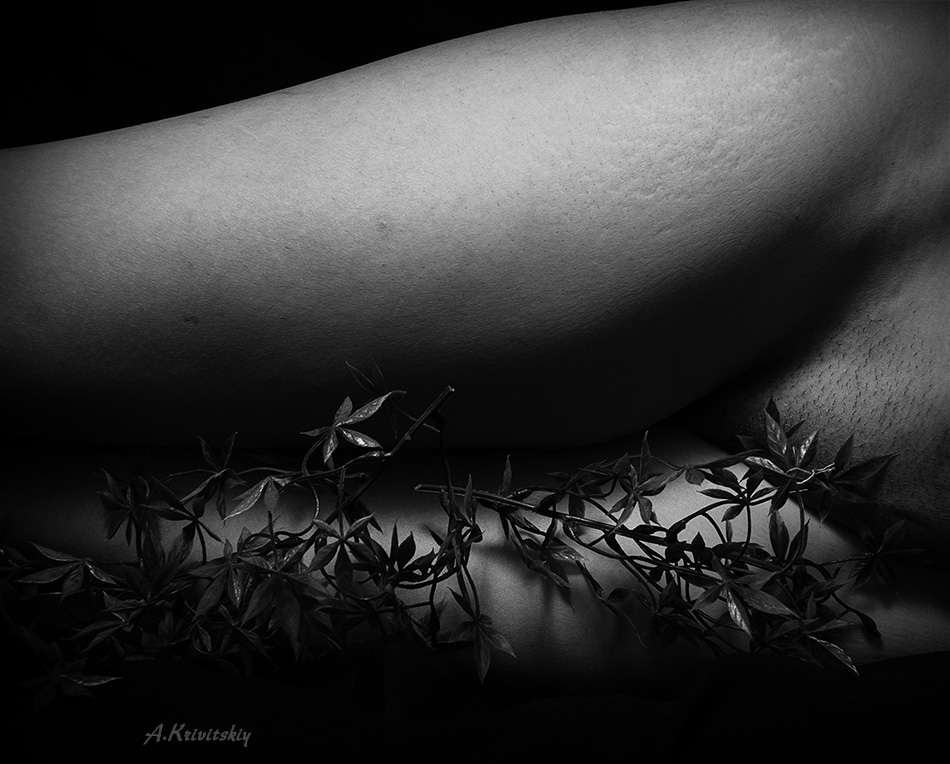 photo "кривицкий" tags: nude, black&white, krivitsky, woman, Александр Кривицкий, фотоактриса, фотомодель, фототеатр