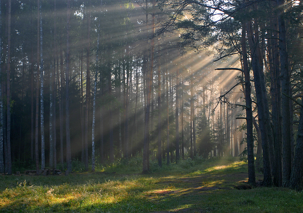 photo "Morning rays" tags: landscape, nature, 