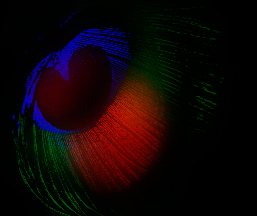 photo "***" tags: abstract, fragment, misc., 