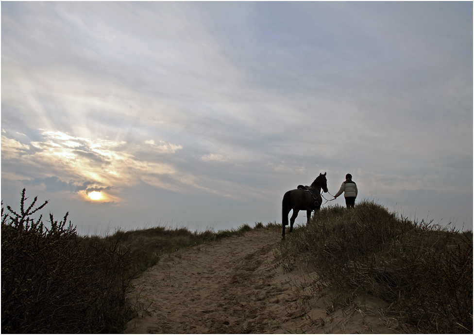 photo "***" tags: nature, evening, sunset, лошади