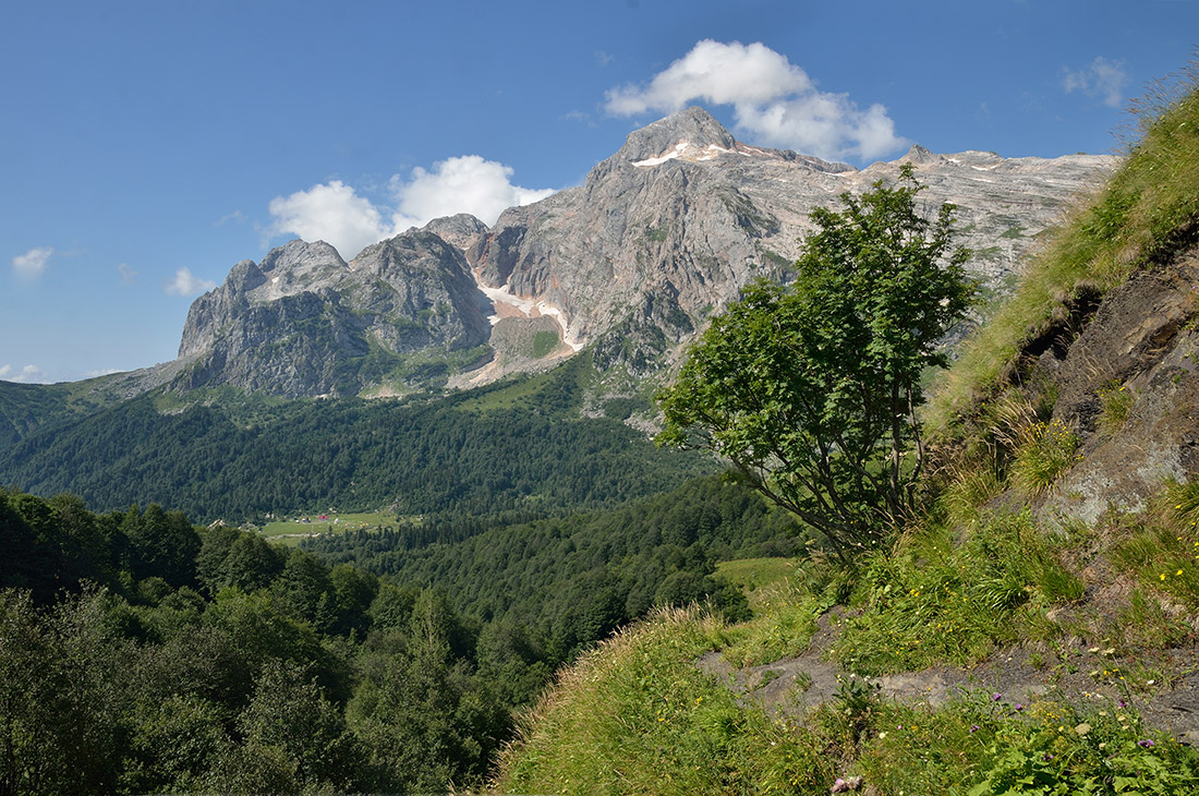 photo "***" tags: landscape, 