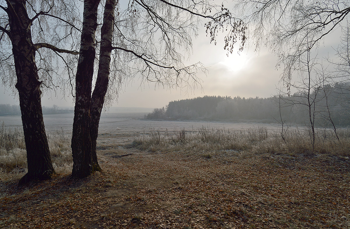 photo "***" tags: landscape, autumn